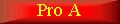 proA.gif (1805 octets)