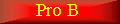 proB.gif (1807 octets)