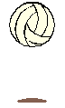 volley07.gif (2410 octets)