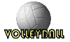 volley1.gif (7200 octets)